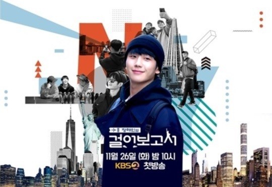  Jung Hae In’s Walking Report Poster