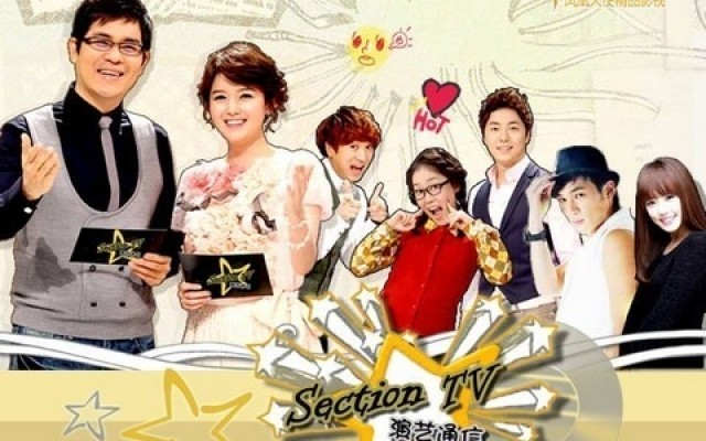  Section TV Poster