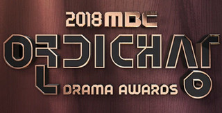 2018 MBC Drama Awards cover