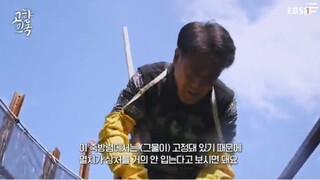 Korean Hometown Episode 59 Cover