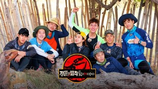 Law Of The Jungle In Komodo Episode 9 Cover