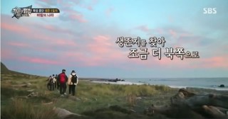 Law Of The Jungle In Wild New Zealand Episode 8 Cover