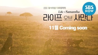 Life of Samantha Episode 2 Cover