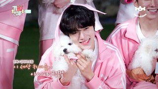 Monsta X's Puppy Day Episode 10 Cover