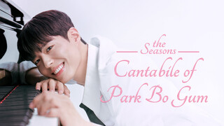 The Seasons Season 7: Park Bo Gum's Cantabile Episode 1 Cover