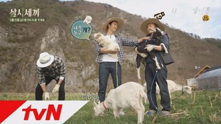 Three Meals a Day Season 2 Episode 16 Cover